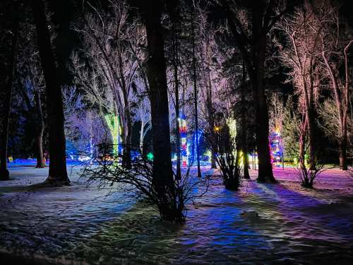 Colorful lights illuminate trees in a snowy landscape at night, creating a magical winter scene.