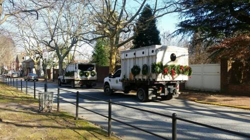 Two trucks decorated with Christmas wreaths drive down a tree-lined street on a sunny day.