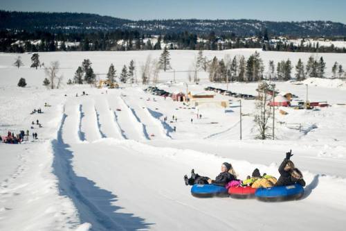 Three people on snow tubes slide down a snowy hill, with a winter landscape and trees in the background.