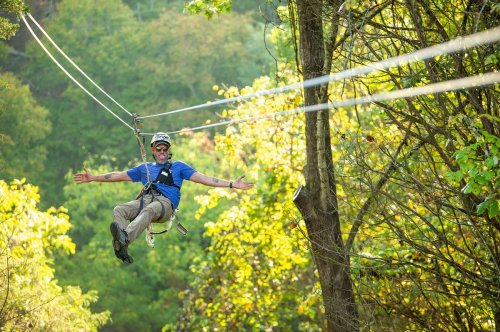 A person in a blue shirt zip-lining through a forest, surrounded by green trees and sunlight.