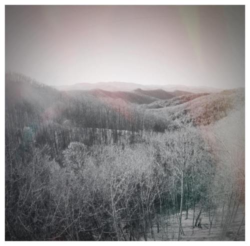 Black and white landscape of rolling hills and trees, with a soft, hazy light illuminating the scene.