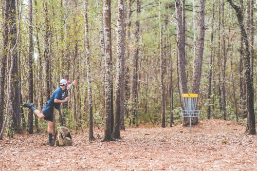 A person throws a disc towards a basket in a wooded area, surrounded by tall trees and fallen leaves.
