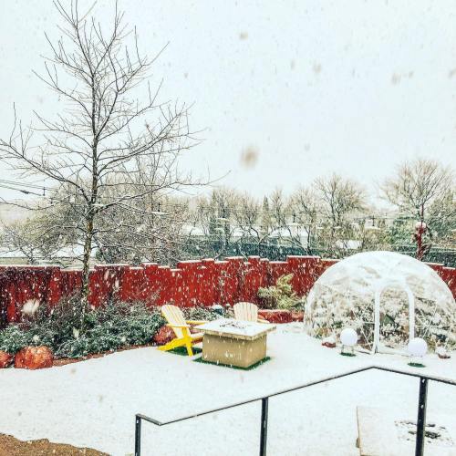 A snowy backyard scene featuring a tree, colorful chairs, and a snow-covered igloo structure.