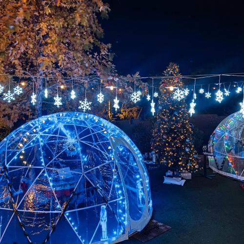 A festive outdoor scene with illuminated igloos, a decorated Christmas tree, and snowflake lights against a night sky.