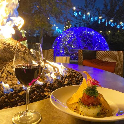 A glass of red wine beside a fire, with a gourmet dish in front of a glowing igloo and festive lights in the background.