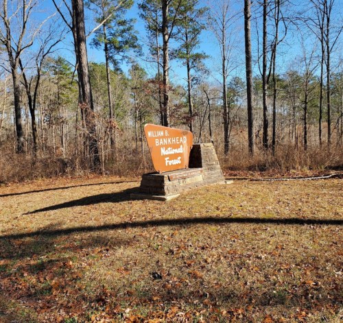 Sign for William B. Bankhead National Forest surrounded by trees and fallen leaves on a clear day.