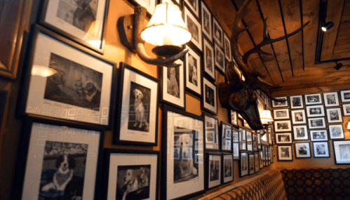 A cozy interior with framed black-and-white photos of dogs and a mounted deer head on the wall.