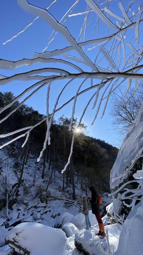 Two people stand on a snowy path, framed by icicles and trees, with sunlight peeking through the landscape.