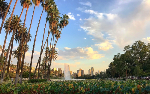 A scenic view of palm trees and a fountain with a city skyline in the background under a partly cloudy sky.