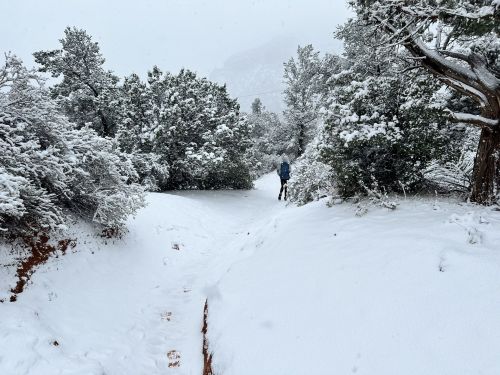 A snowy path surrounded by trees, with a person walking in the distance.