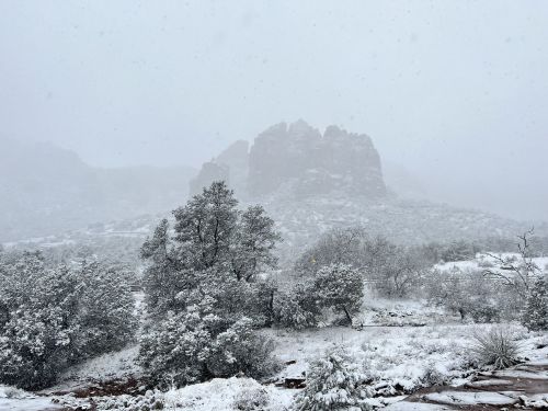 Snow-covered landscape with rocky formations in the background, surrounded by trees, under a gray, snowy sky.