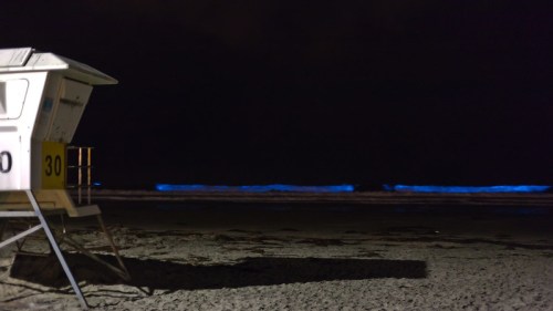 A lifeguard tower on a dark beach, with glowing blue waves in the background under a night sky.
