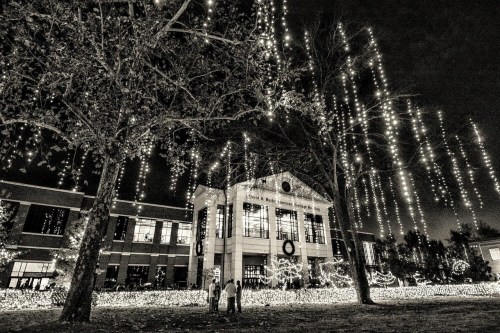 A festive scene at night with a building adorned in holiday lights and people admiring the decorations.