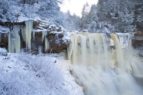 A frozen waterfall surrounded by snow-covered trees and icy formations, creating a serene winter landscape.
