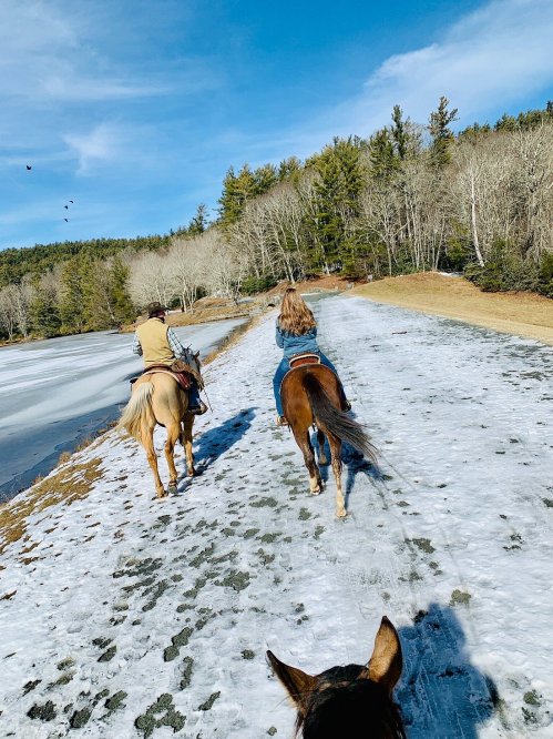 Two riders on horseback travel along a snowy path, surrounded by trees and a clear blue sky.