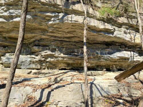 Rocky cliffside with layered stone formations, surrounded by trees and fallen branches in a natural setting.
