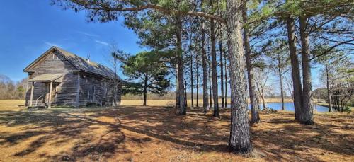 A rustic wooden cabin surrounded by tall pine trees, with a serene lake visible in the background under a clear blue sky.
