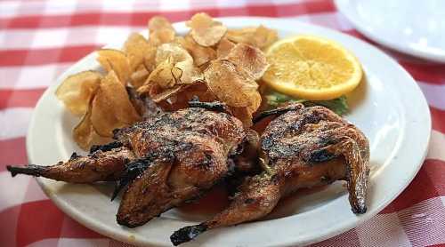 Grilled quail served with crispy potato chips and a slice of lemon on a white plate, set on a red checkered tablecloth.