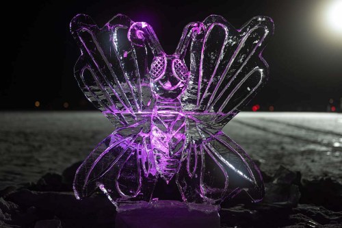 A beautifully carved ice sculpture of a butterfly, illuminated with purple light against a dark background.