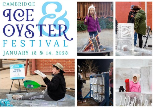 Collage of the Cambridge Ice & Oyster Festival: ice sculptures, children playing, and festive activities from January 2023.