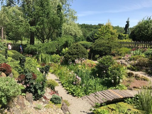 A lush garden with diverse plants, flowers, and a winding path, featuring visitors enjoying the serene landscape.