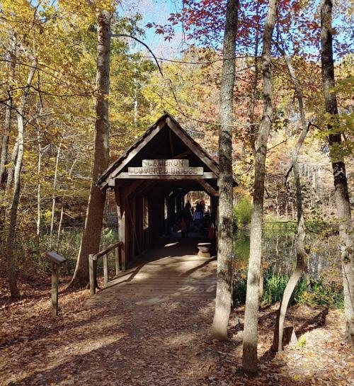 A wooden covered bridge surrounded by colorful autumn trees and a peaceful forest path.