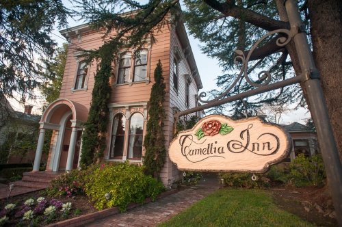 A charming pink inn with a sign reading "Camellia Inn," surrounded by greenery and colorful flowers.