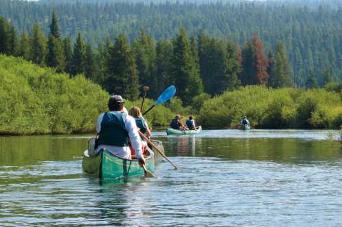 A group of people canoeing on a calm river surrounded by lush green trees and a clear blue sky.