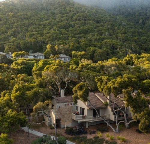 Aerial view of modern homes nestled among lush green trees and hills, with soft morning light illuminating the scene.