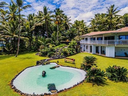 A tropical landscape featuring a house, lush greenery, palm trees, and a serene pond with a small rock centerpiece.