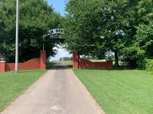 Entrance to a cemetery with a sign reading "M Springs," flanked by trees and a grassy pathway.