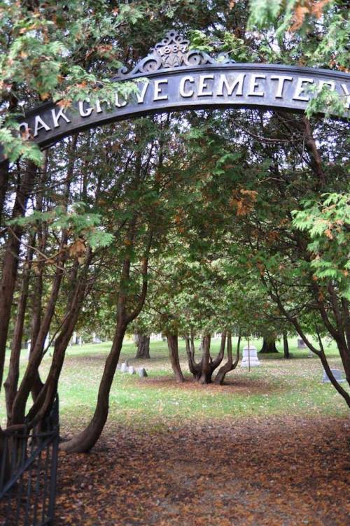 Archway sign reading "Oak Grove Cemetery" surrounded by trees and fallen leaves.