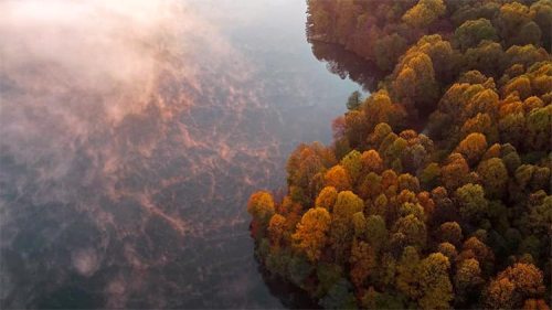 Aerial view of a serene lake surrounded by vibrant autumn trees reflecting in the water.