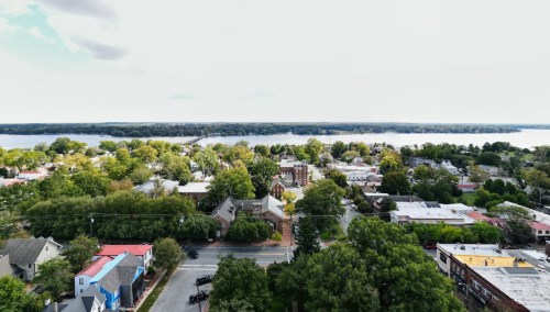 Aerial view of a lush, green neighborhood with houses and a lake in the background under a cloudy sky.