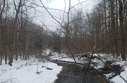 A winding creek flows through a snowy forest, surrounded by bare trees and a cloudy sky.