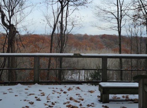 A snowy landscape with a wooden railing, overlooking trees with autumn leaves in a serene, wooded area.
