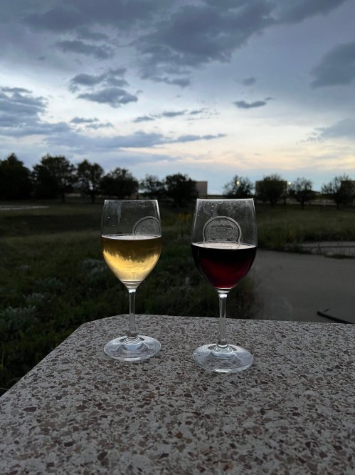 Two wine glasses, one with white wine and the other with red, sit on a stone table against a cloudy evening sky.