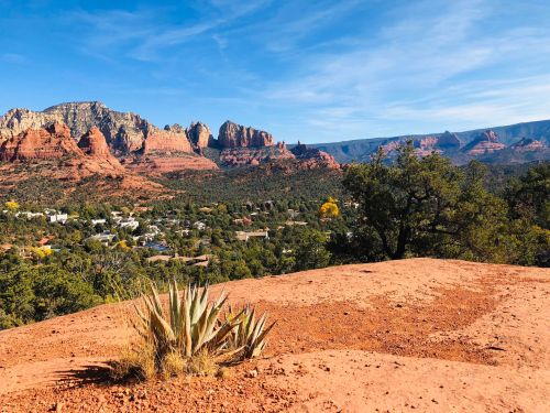 A scenic view of red rock formations and greenery in Sedona, Arizona, with a foreground of desert plants.