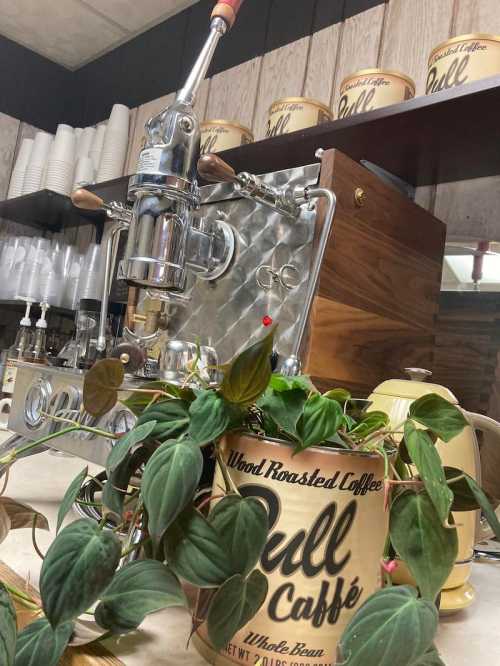 A vintage espresso machine with a wooden base, surrounded by coffee-themed decor and a potted plant.