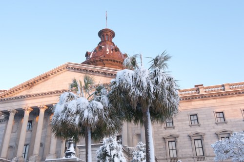 Snow-covered palm trees in front of a historic building with a dome, under a clear blue sky.