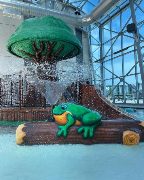 A colorful frog sculpture sits on a log, surrounded by splashing water in a playful indoor water park setting.