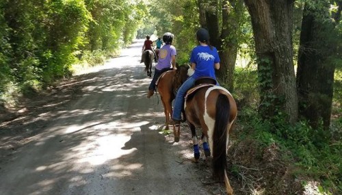 A group of riders on horseback walking down a tree-lined dirt road.