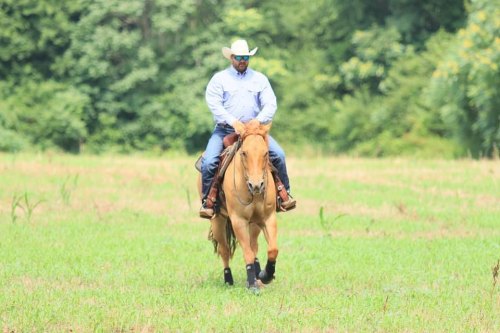 A person in a cowboy hat rides a horse through a green field, surrounded by trees.