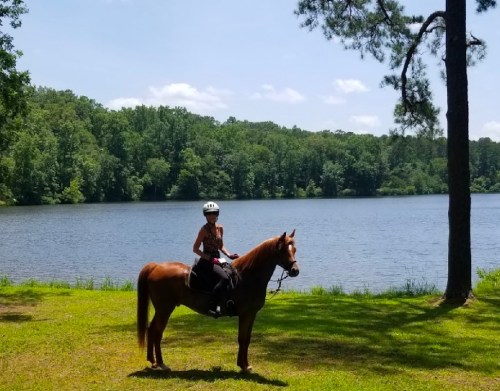 A person on a horse by a lake, surrounded by trees and a clear blue sky.