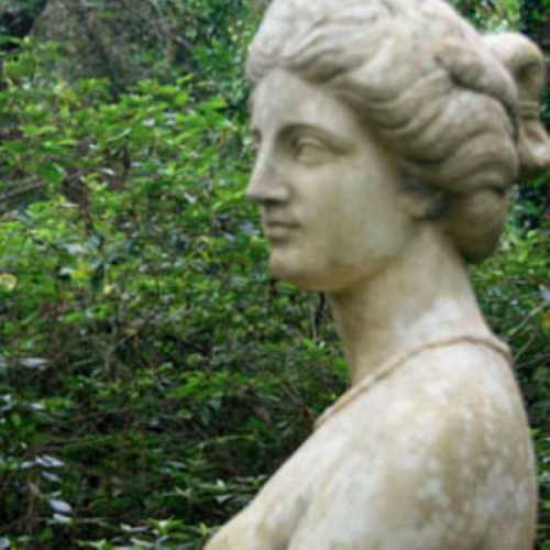 A close-up of a classical stone statue of a woman, surrounded by greenery.