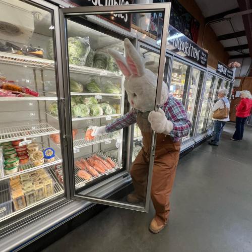 A person in a bunny costume opens a freezer door in a grocery store, reaching for carrots among the vegetables.