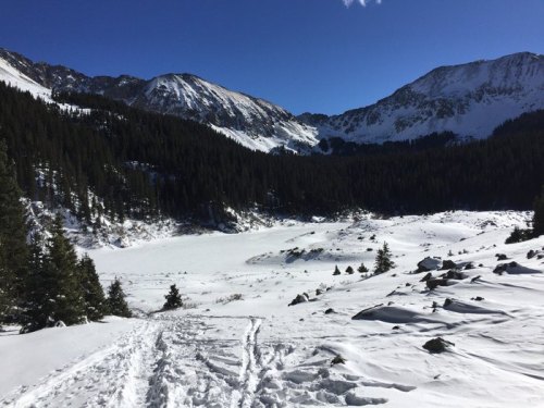Snow-covered landscape with mountains in the background, pine trees, and a clear blue sky.