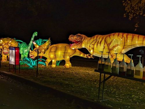 Colorful illuminated dinosaur lanterns displayed at night, with a table of bottles in the foreground.