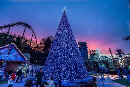 A large, illuminated Christmas tree stands in a festive park at sunset, with colorful lights and decorations around.