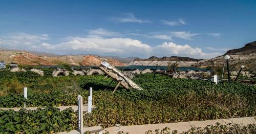 A scenic view of a green landscape with crops, a dilapidated structure, and a lake surrounded by mountains under a blue sky.